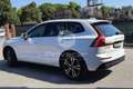 Volvo XC60 XC60 D4 Geartronic Inscription Bianco - thumbnail 7