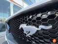 Ford Mustang 5.0 Ti-VCT V8 331KW  GT AT(Fast.) Blanco - thumbnail 36