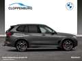 BMW X5 xDrive40i M Sportpaket Gestiksteuerung DAB Grau - thumbnail 8