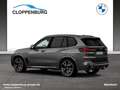 BMW X5 xDrive40i M Sportpaket Gestiksteuerung DAB Grau - thumbnail 6
