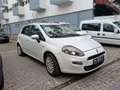 Fiat Punto Pop/TÜV NEU /GARANTIE 24 Weiß - thumbnail 4