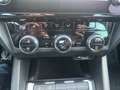 Skoda Octavia 1,6 TDI Style Grau - thumbnail 30