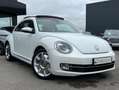 Volkswagen New Beetle 2.0 TDi 140 Ch TOIT OUVRANT / SIEGES CHAUFF GPS Alb - thumbnail 2