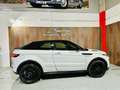 Land Rover Range Rover Evoque Convertible 2.0TD4 SE Dynamic 4WD 180 Aut Wit - thumbnail 14