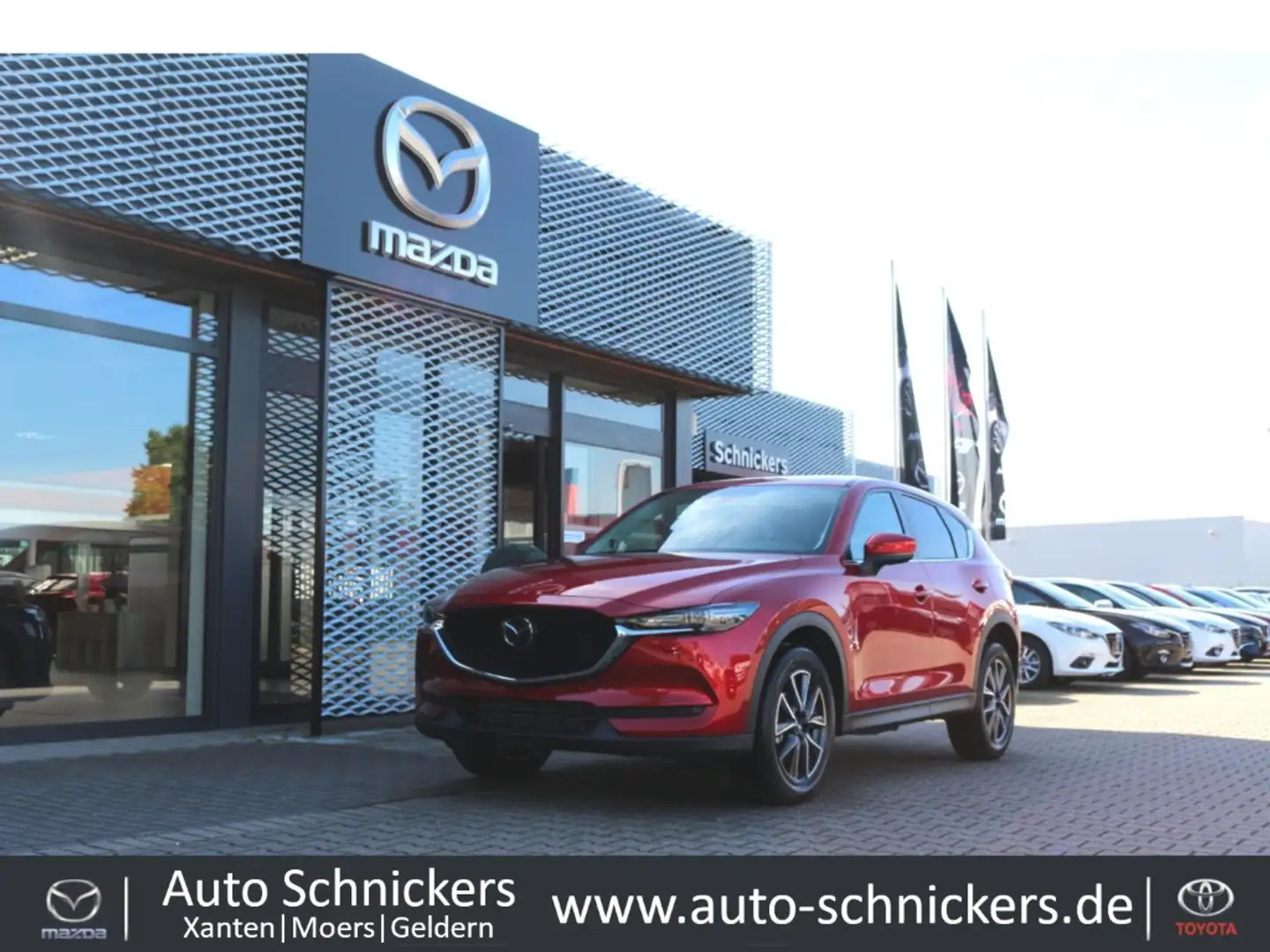 Mazda CX-5 SKYACTIV-D SPORTS-LINE+LEDER+8FACH !! Rot - 1