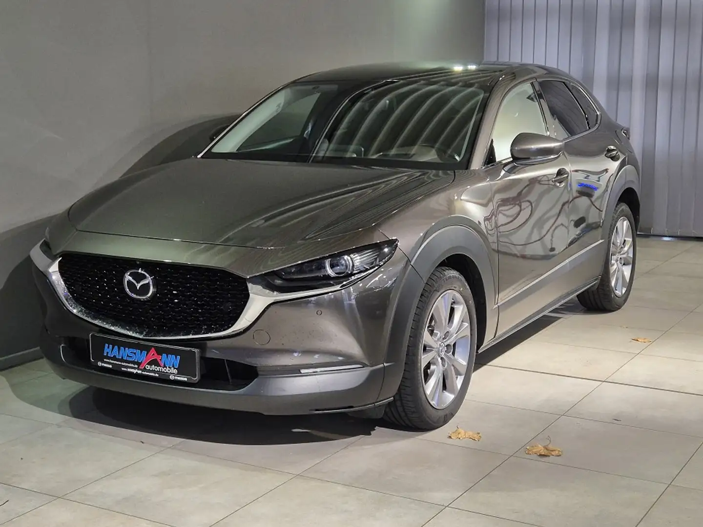Mazda CX-30 Selection G-122/AWD/Navi/Bose/Design-P./I-Act.-P./ Grau - 1