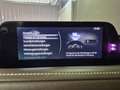 Mazda CX-30 Selection G-122/AWD/Navi/Bose/Design-P./I-Act.-P./ Grau - thumbnail 15