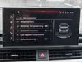 Audi A5 40 TFSI Q S LINE LM19 MATRIX ASSIST Grau - thumbnail 13