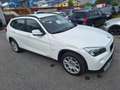 BMW X1 X Drive 18d.4x4.2× türe 1 kotflg beschädi Weiß - thumbnail 2