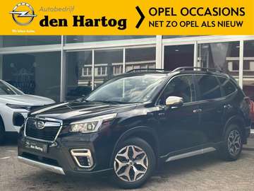 2.0i e-BOXER Comfort Automaat/Trekhaak/Parkeerhulp