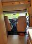 Caravans-Wohnm Ford Wohnmobil Blanc - thumbnail 15