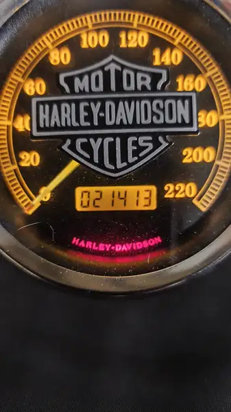 Harley-Davidson Sportster 883 - foto 4