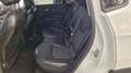 Jeep Compass Compass 1.6 mjt Limited 2wd 120cv my20 - N1 Bianco - thumbnail 13