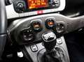 Fiat Panda Panda 0.9 t.air t. Cross 4x4 s Verde - thumbnail 15