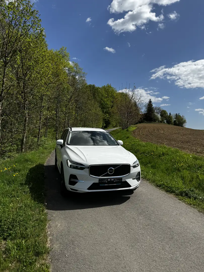 Volvo XC60 XC60 B4 Momentum Pro AWD Geartronic Momentum Pro Weiß - 1