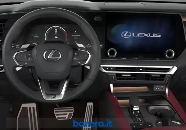 Lexus RX view 5
