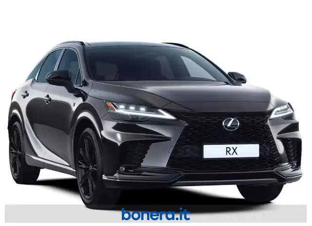 Lexus RX view 2