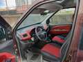 Fiat Doblo Doblo 3a serie 2012 1.6 mjt 16v Emotion 90cv Marrone - thumbnail 2