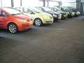 Volkswagen Golf GTE 1.4 eHybrid Edition Uniek 77/200 uitgaven Wit - thumbnail 31