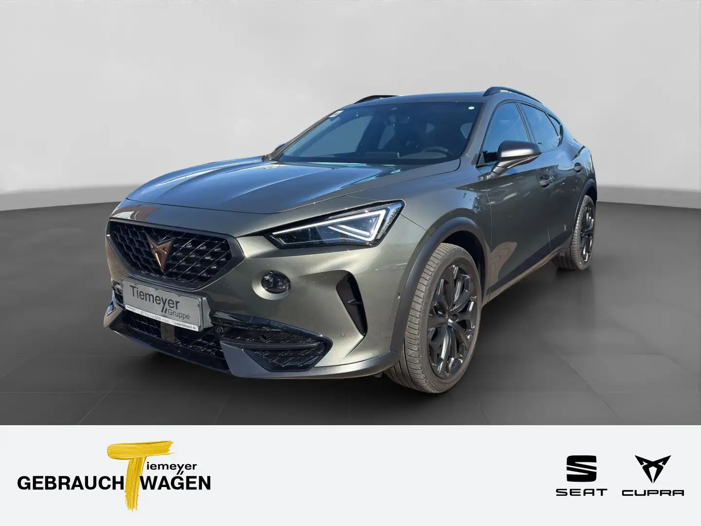 CUPRA Formentor 2.0 TSI DSG TRIBE EDITION MATRIX PANO Grau - 1