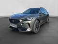 CUPRA Formentor 2.0 TSI DSG TRIBE EDITION MATRIX PANO Grau - thumbnail 2