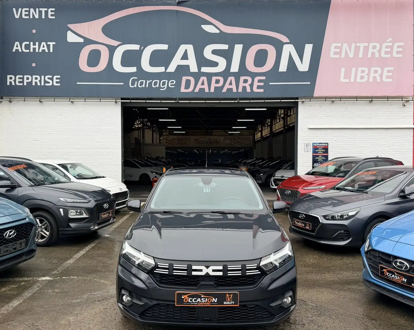 Dacia Sandero 1.0i SCe 67CV-1er Proprio-Carnet-Garantie Gris - 1