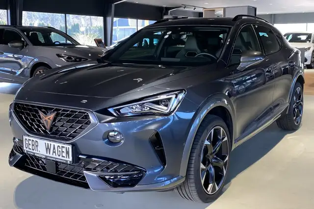 CUPRA Formentor 2.0 TDI 4Drive Klima Navi Rückfahrkamera