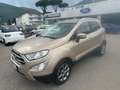 Ford EcoSport EcoSport 1.0 ecoboost Titanium 125 cv auto Золотистый - thumbnail 1