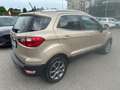 Ford EcoSport EcoSport 1.0 ecoboost Titanium 125 cv auto Золотистый - thumbnail 5