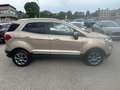 Ford EcoSport EcoSport 1.0 ecoboost Titanium 125 cv auto Золотистый - thumbnail 4