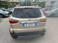 Ford EcoSport EcoSport 1.0 ecoboost Titanium 125 cv auto Золотистый - thumbnail 6