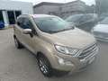 Ford EcoSport EcoSport 1.0 ecoboost Titanium 125 cv auto Золотистый - thumbnail 2
