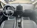 Ford EcoSport EcoSport 1.0 ecoboost Titanium 125 cv auto Золотистый - thumbnail 11