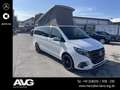 Mercedes-Benz Marco Polo Marco Polo 250 d AMG AHK STANDHZ AIRMATIC 360° Blanco - thumbnail 8