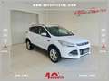 Ford Kuga Kuga 2.0 TDCI 150 CV S&S 4WD Powershift Titanium Bianco - thumbnail 1