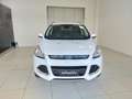 Ford Kuga Kuga 2.0 TDCI 150 CV S&S 4WD Powershift Titanium Bianco - thumbnail 2