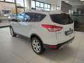 Ford Kuga Kuga 2.0 TDCI 150 CV S&S 4WD Powershift Titanium Bianco - thumbnail 6