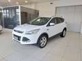 Ford Kuga Kuga 2.0 TDCI 150 CV S&S 4WD Powershift Titanium Bianco - thumbnail 3