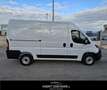 Fiat Ducato 33 2.3 MJT 140CV PM-TM Furgone Bianco - thumbnail 5