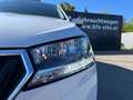 Skoda Fabia Combi Ambition 1,0 TSI | AHK/SHZ/TEMP Weiß - thumbnail 34