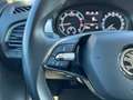 Skoda Fabia Combi Ambition 1,0 TSI | AHK/SHZ/TEMP Weiß - thumbnail 39