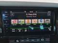 Volkswagen Touareg 3.0TDI V6 Premium Tiptronic Elegance 4M 210kW Gris - thumbnail 19