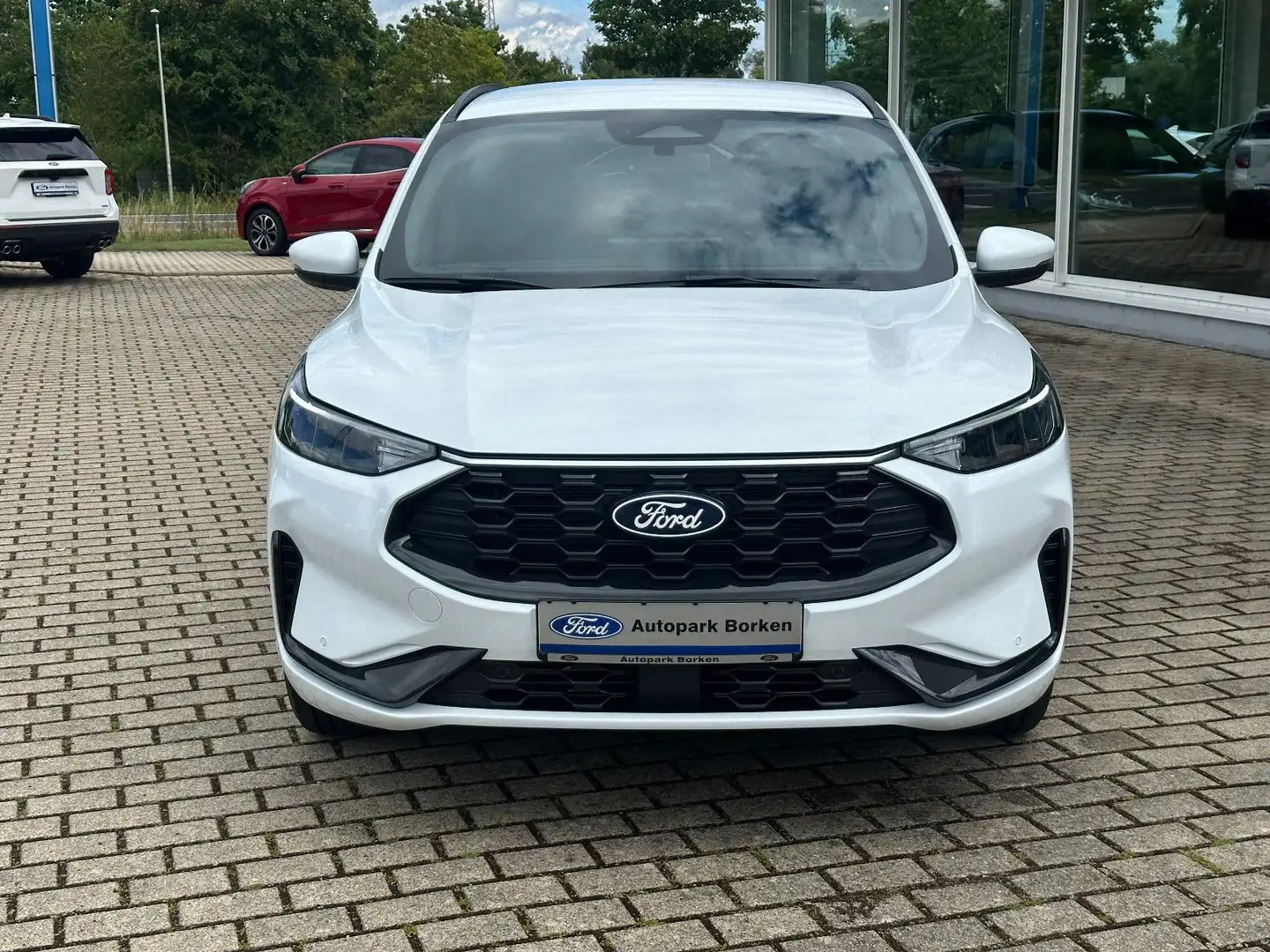 Ford Kuga ST-Line LED Kamera Winter Paket Wit - 2