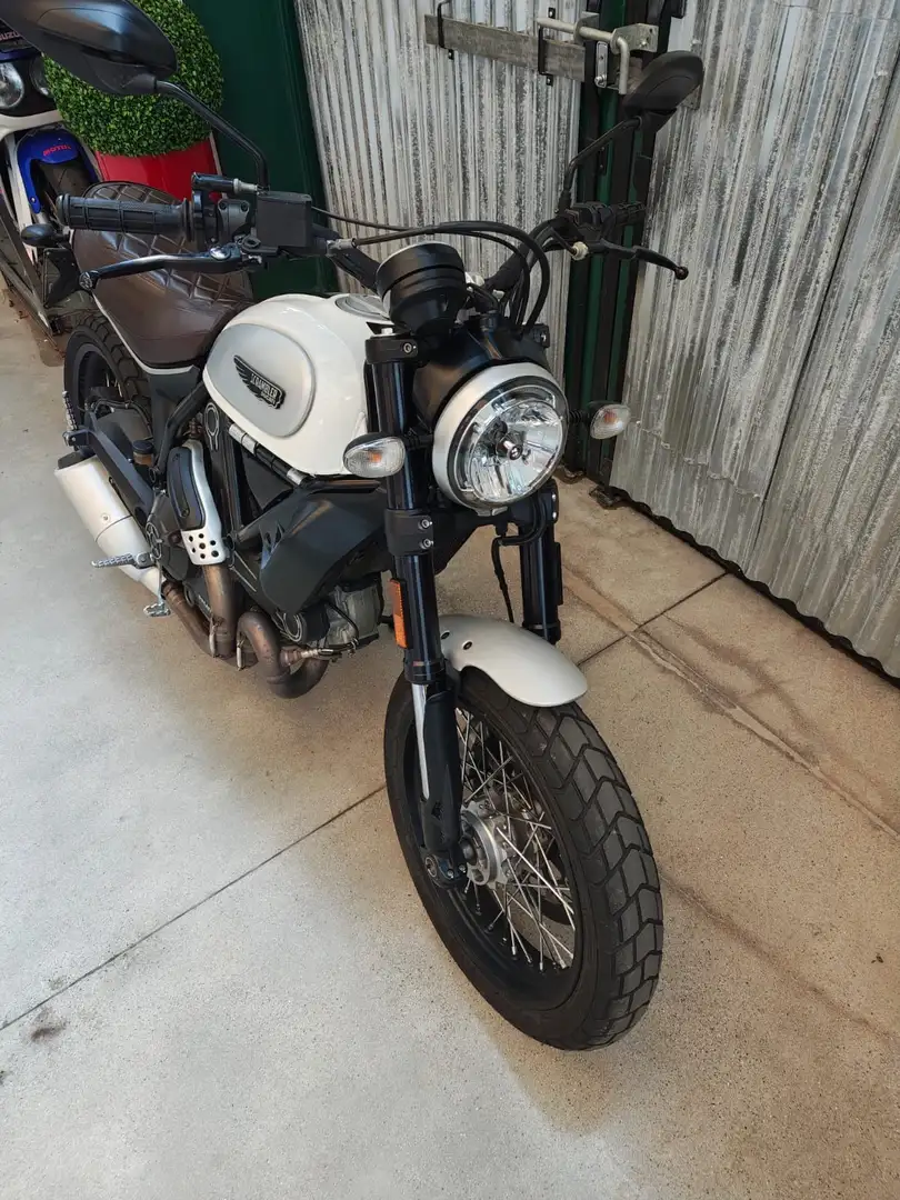 Ducati Scrambler 800 Bianco - 2