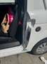 Microcar Due - thumbnail 5