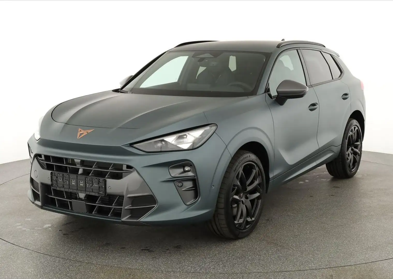 CUPRA Terramar 2.0 TSI DSG 4Drive Americas CUP, HD-Matrix, Leder, Серый - 2