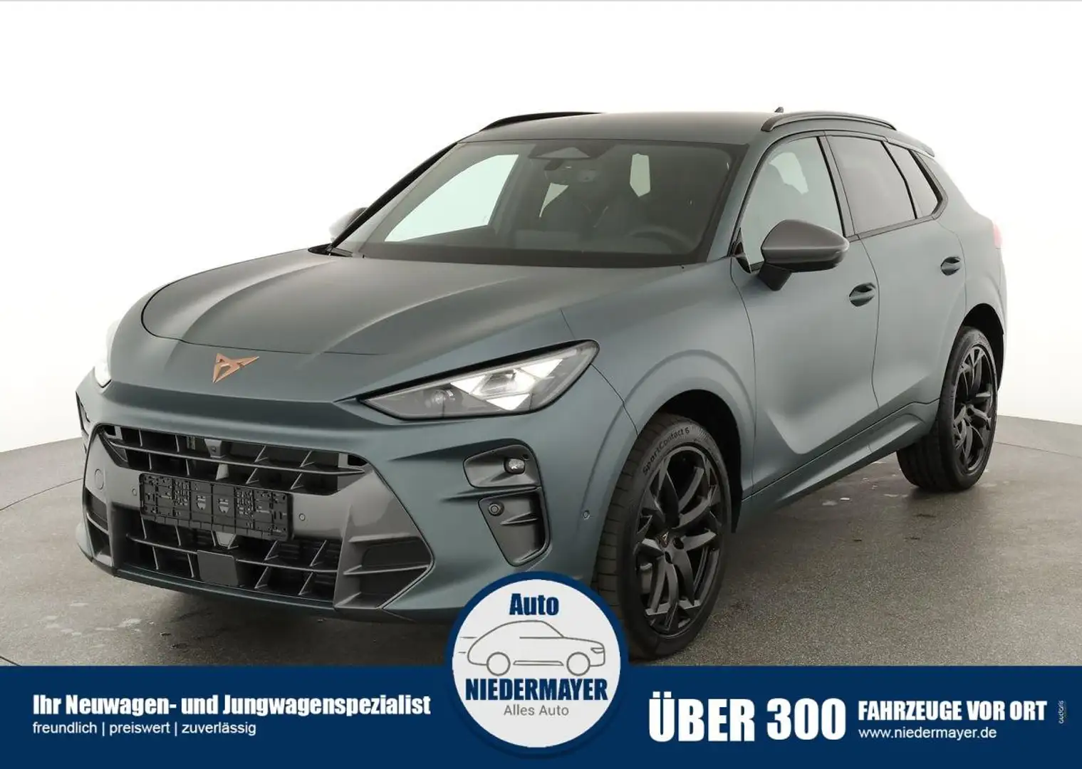 CUPRA Terramar 2.0 TSI DSG 4Drive Americas CUP, HD-Matrix, Leder, Szürke - 1