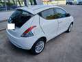Lancia Ypsilon Ypsilon 1.3 mjt Gold s 95cv Bianco - thumbnail 6