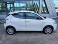 Lancia Ypsilon Ypsilon 1.3 mjt Gold s 95cv Bianco - thumbnail 13