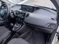Lancia Ypsilon Ypsilon 1.3 mjt Gold s 95cv Bianco - thumbnail 7